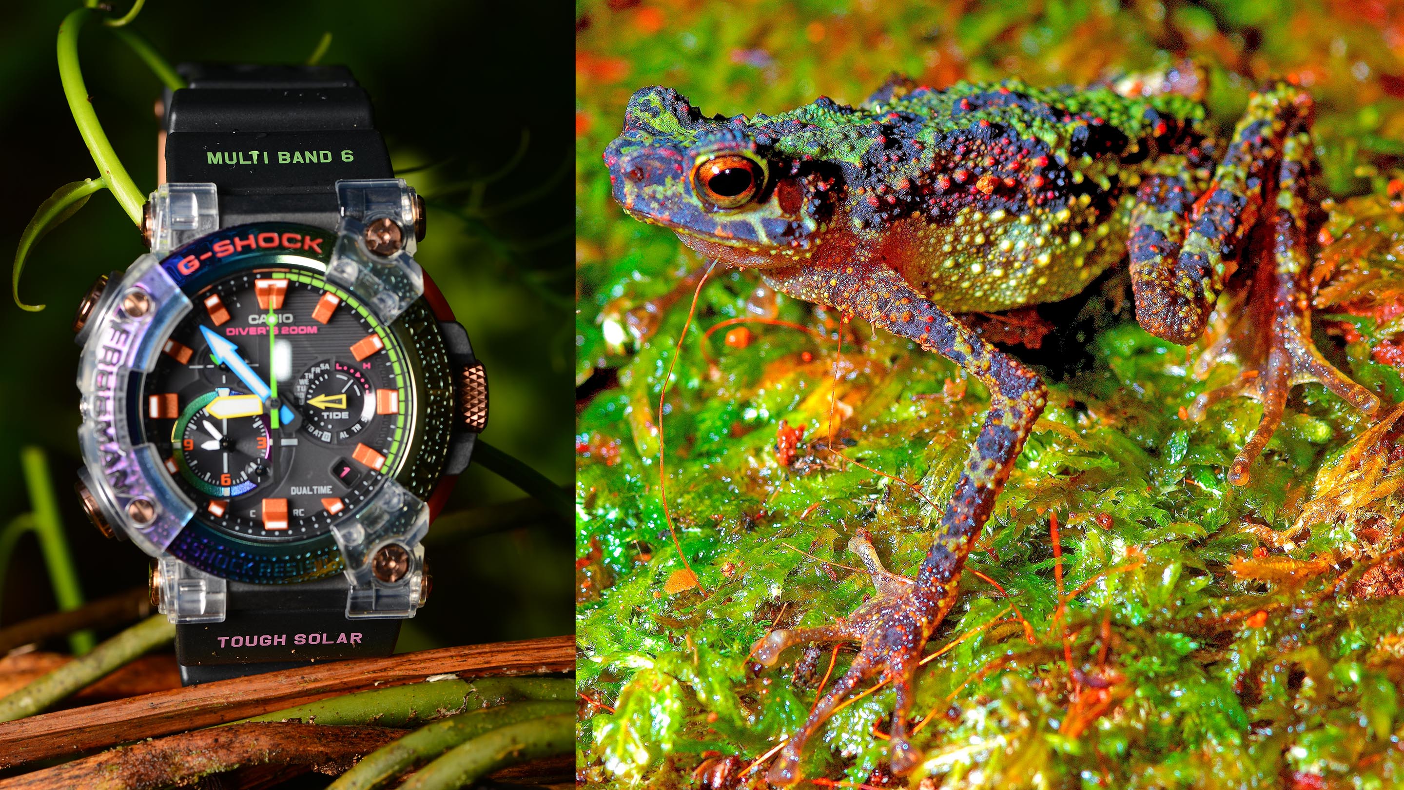 カシオ 腕時計 フロッグマン 虹蛙 G-SHOCK DW-8201 レインボー - 腕時計(デジタル)