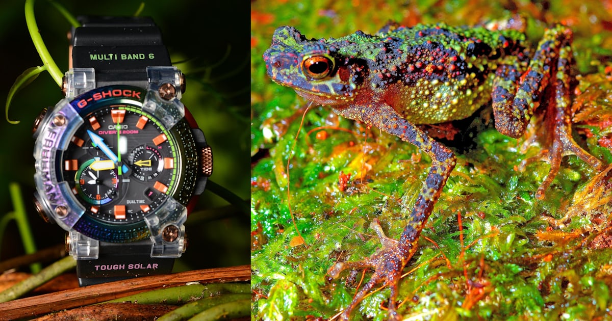 Just Because: G-SHOCK フロッグマン・ボルネオ・レインボー Just Because: G-SHOCK フロッグマン・ボルネオ・レインボー