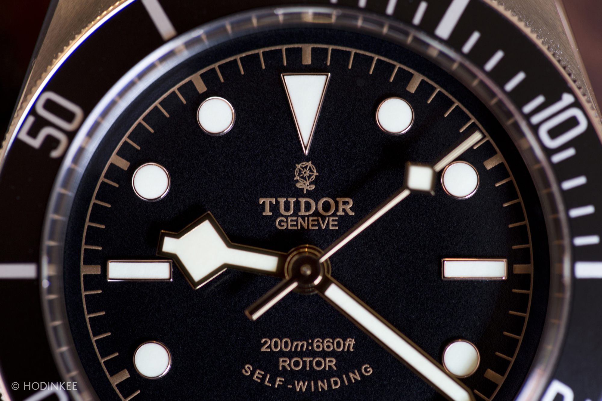 The Tudor Heritage Black Bay Black Reference 79220N
