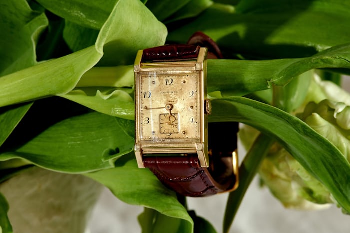 A Longines watch on plant leaves