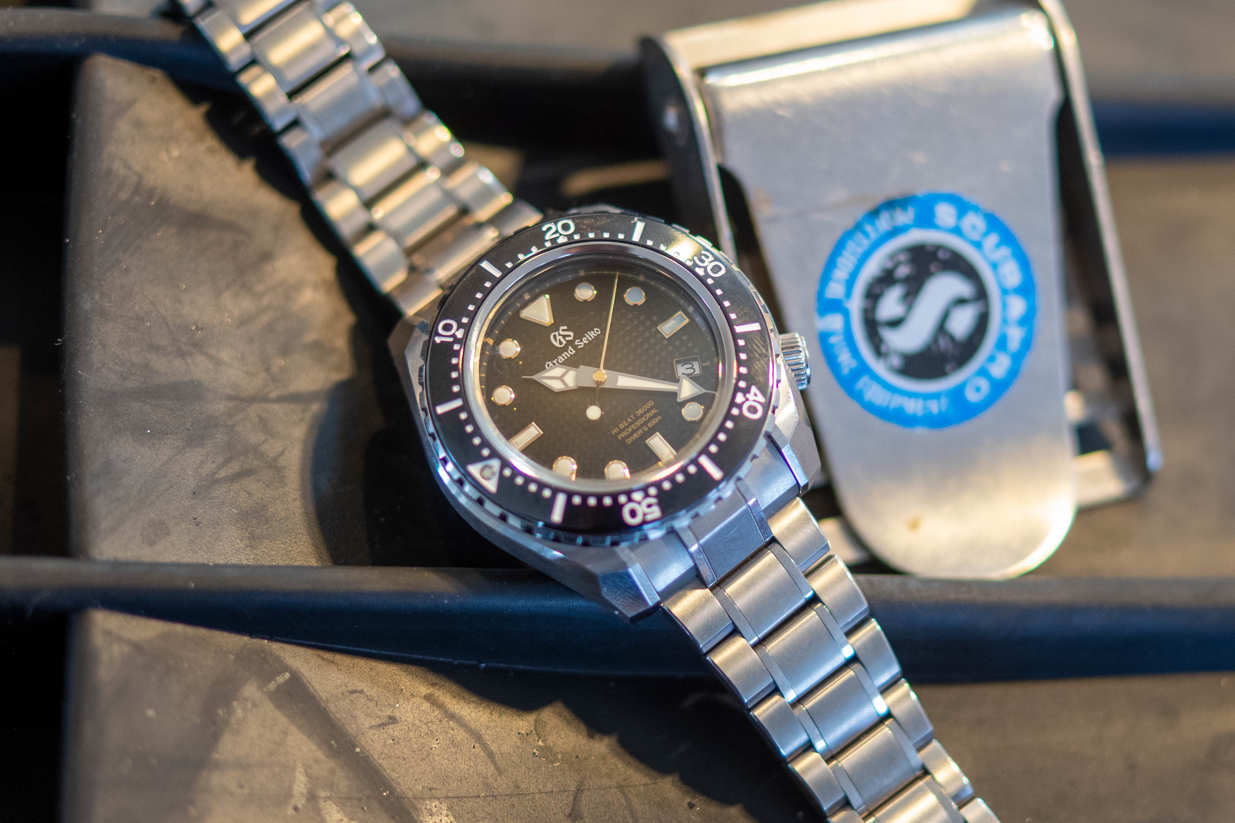 Lighting isn't the best in the habitat, my apologies. 