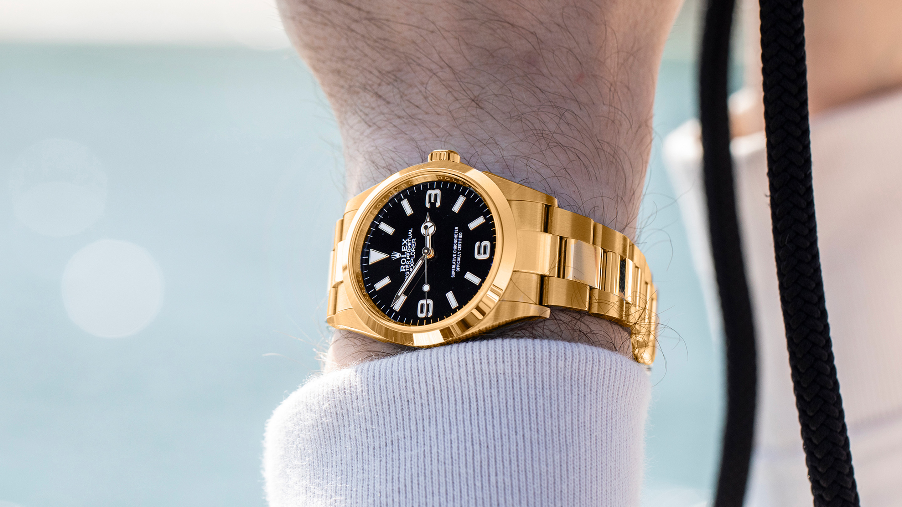 Editors Picks 理想の腕時計 をhodinkeeメンバーに聞いてみた Hodinkee Japan ホディンキー 日本版