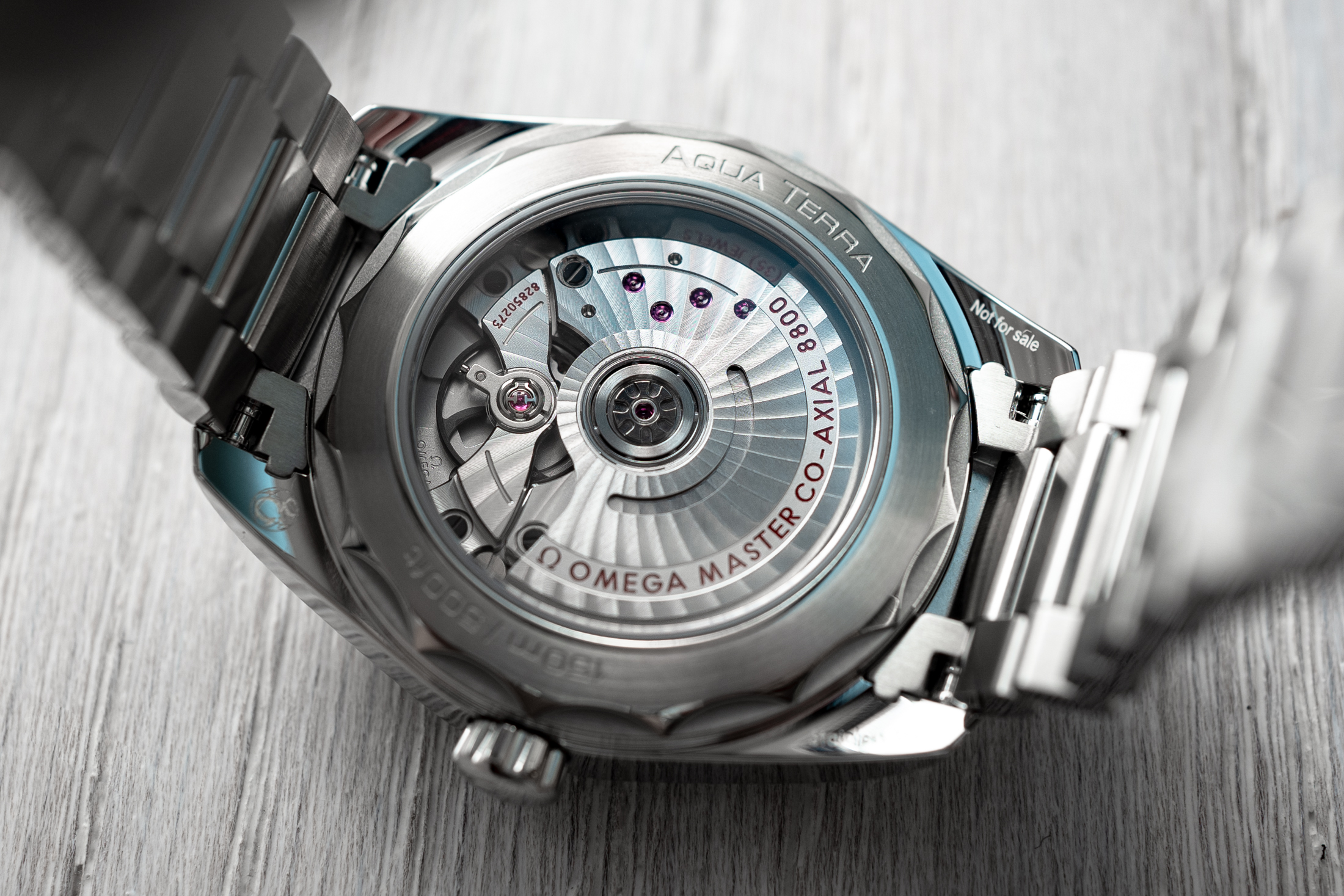 caseback of the new aqua terra
