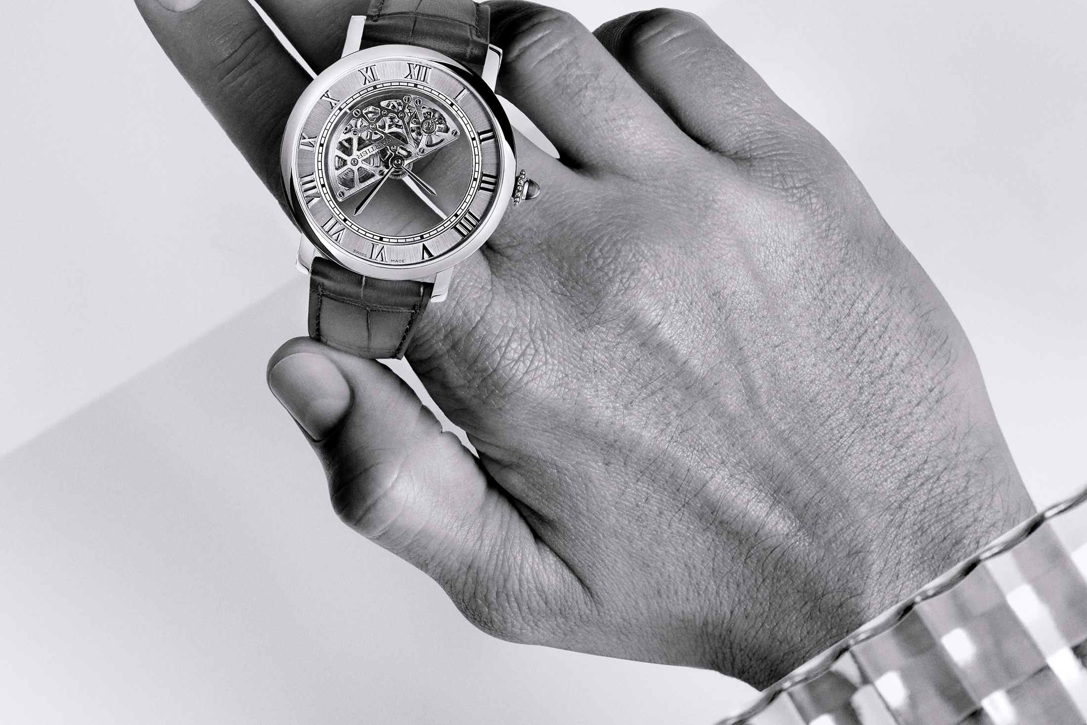 Cartier Masse Mystérieux wrist shot
