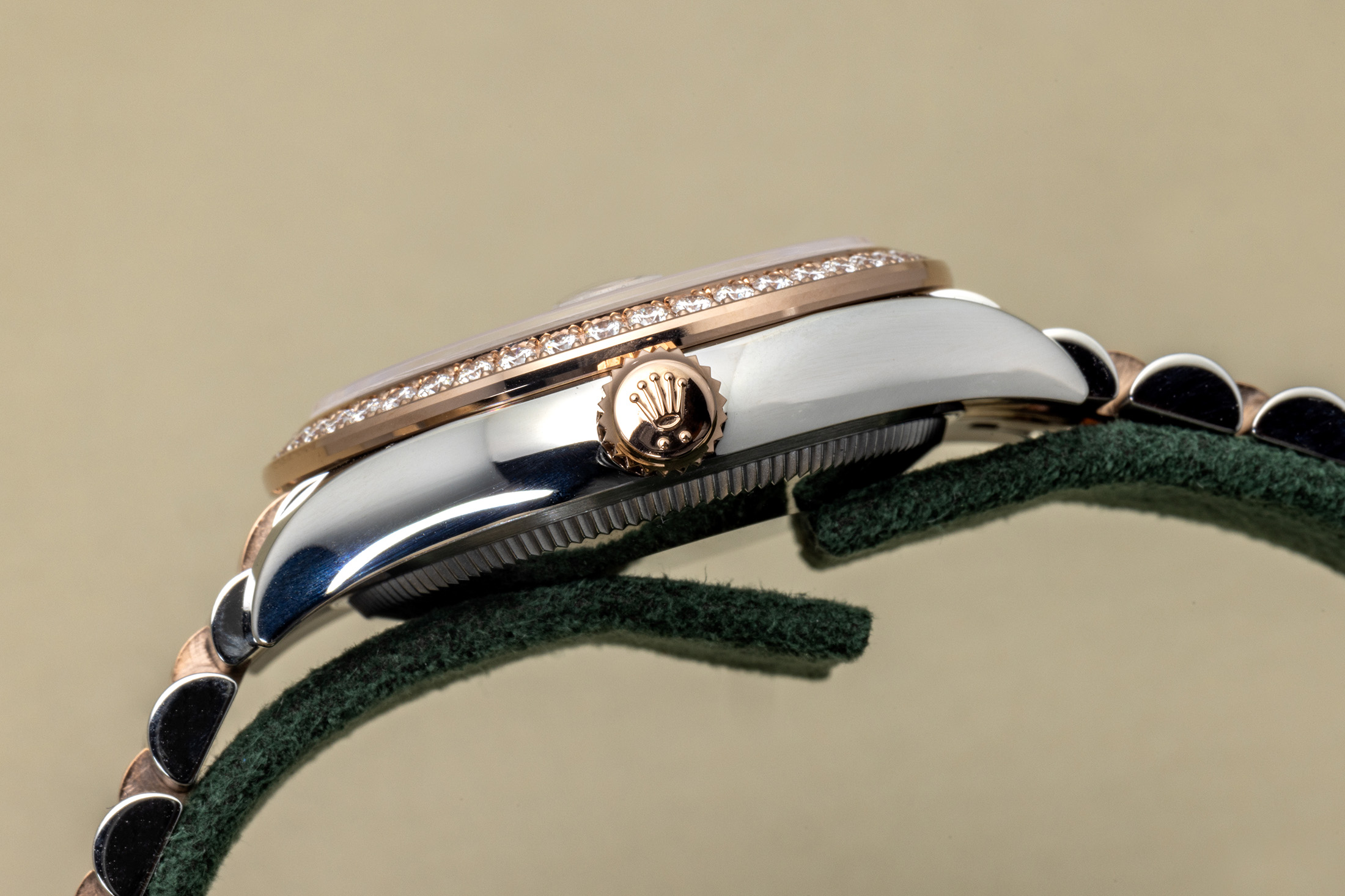 the case profile of the 31mm datejust