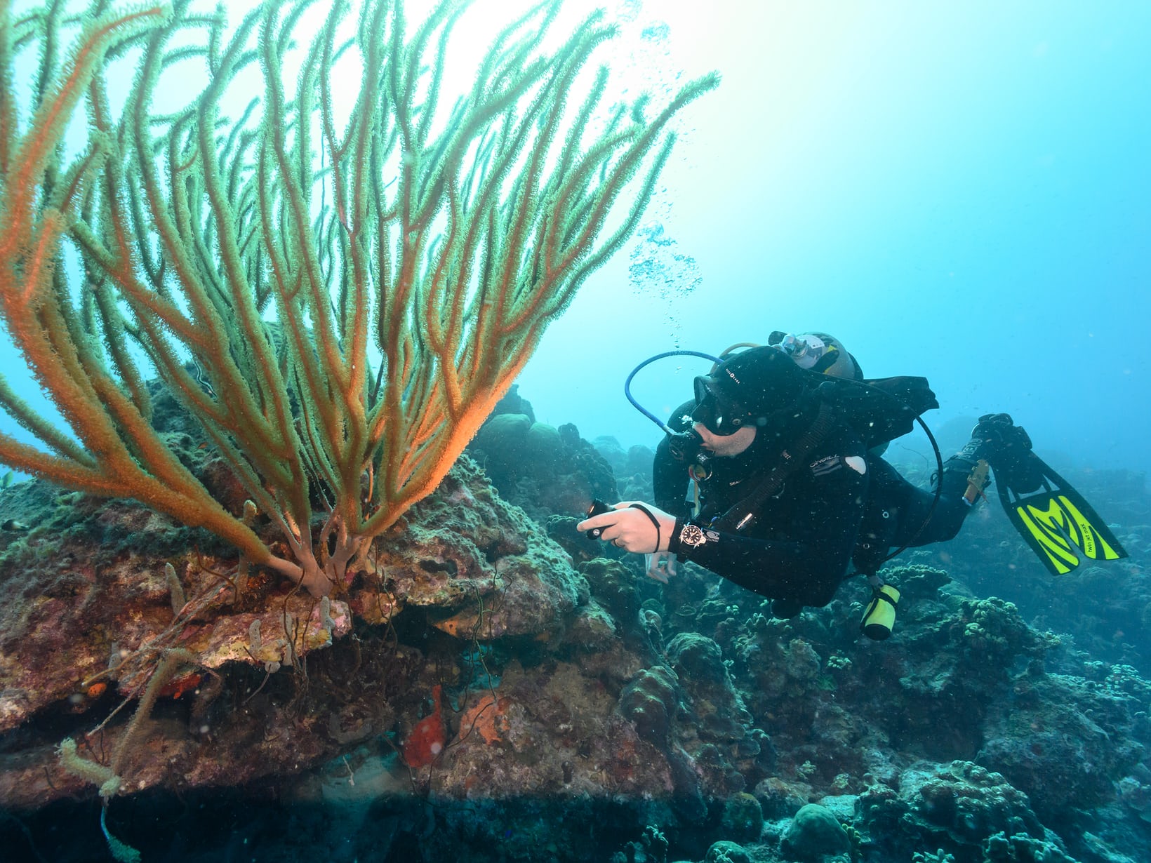 Jason Heaton Citizen dive watch