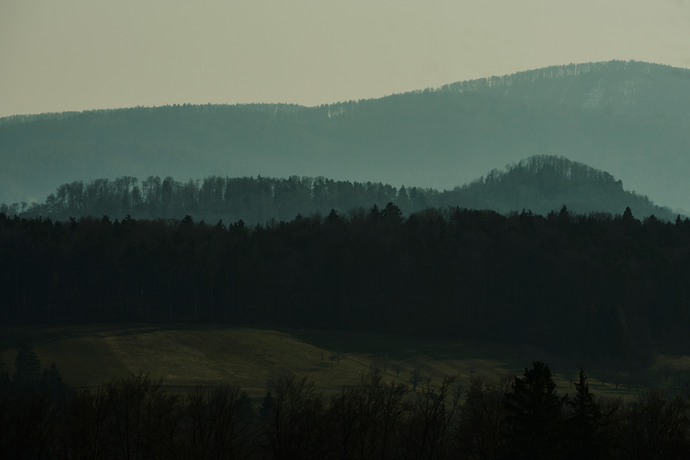 landscape of mountains and forest in Switzerland