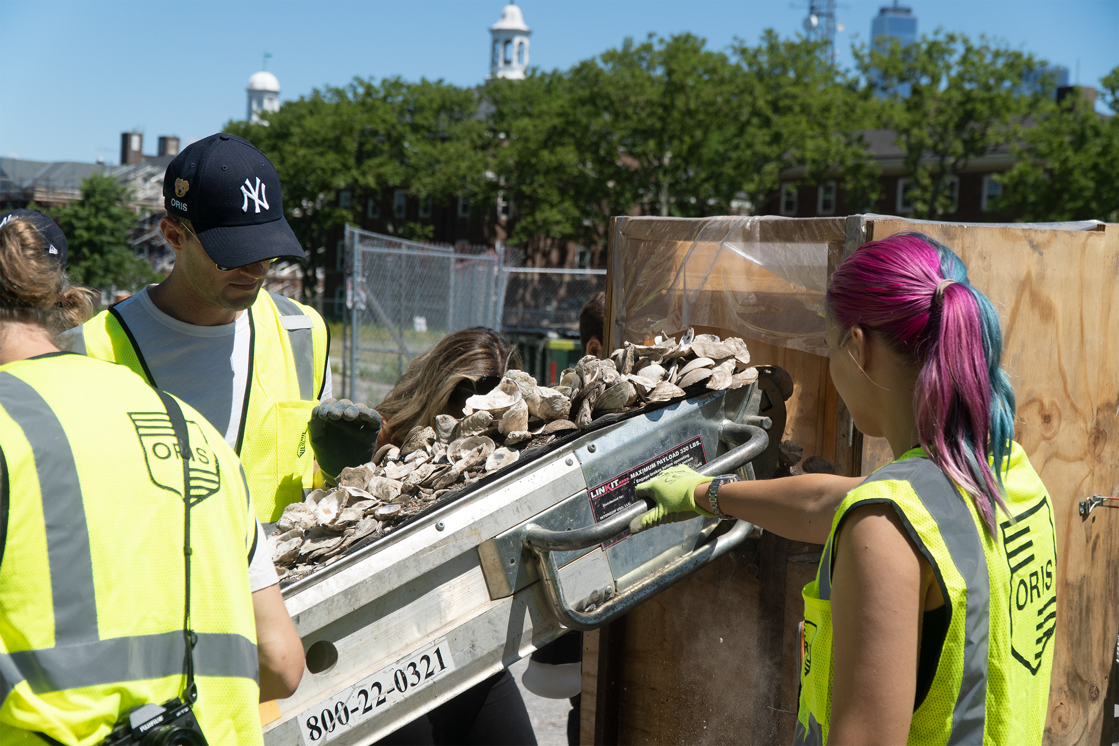 Billion Oyster Project