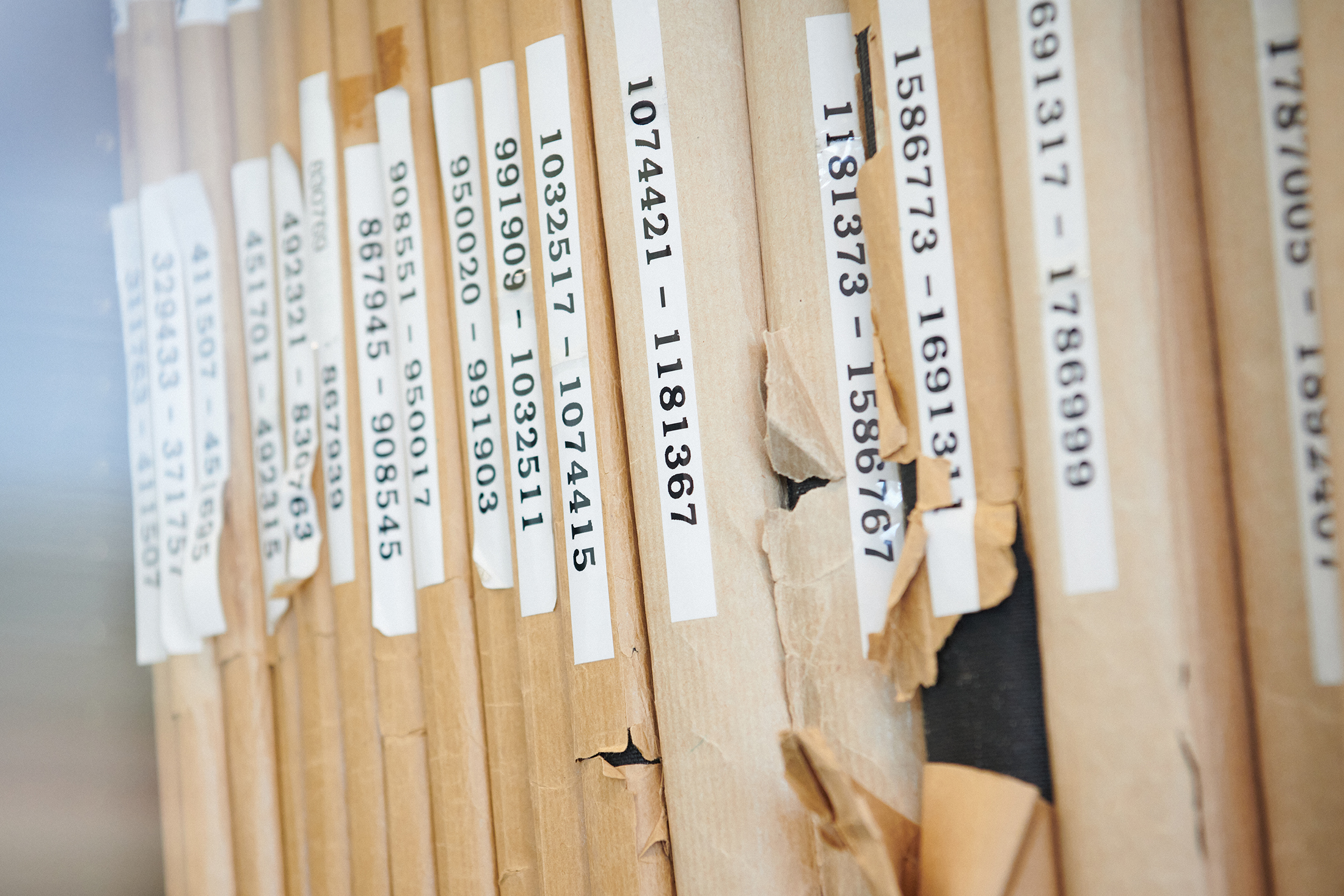 Laurence Bodenmann, Zenith