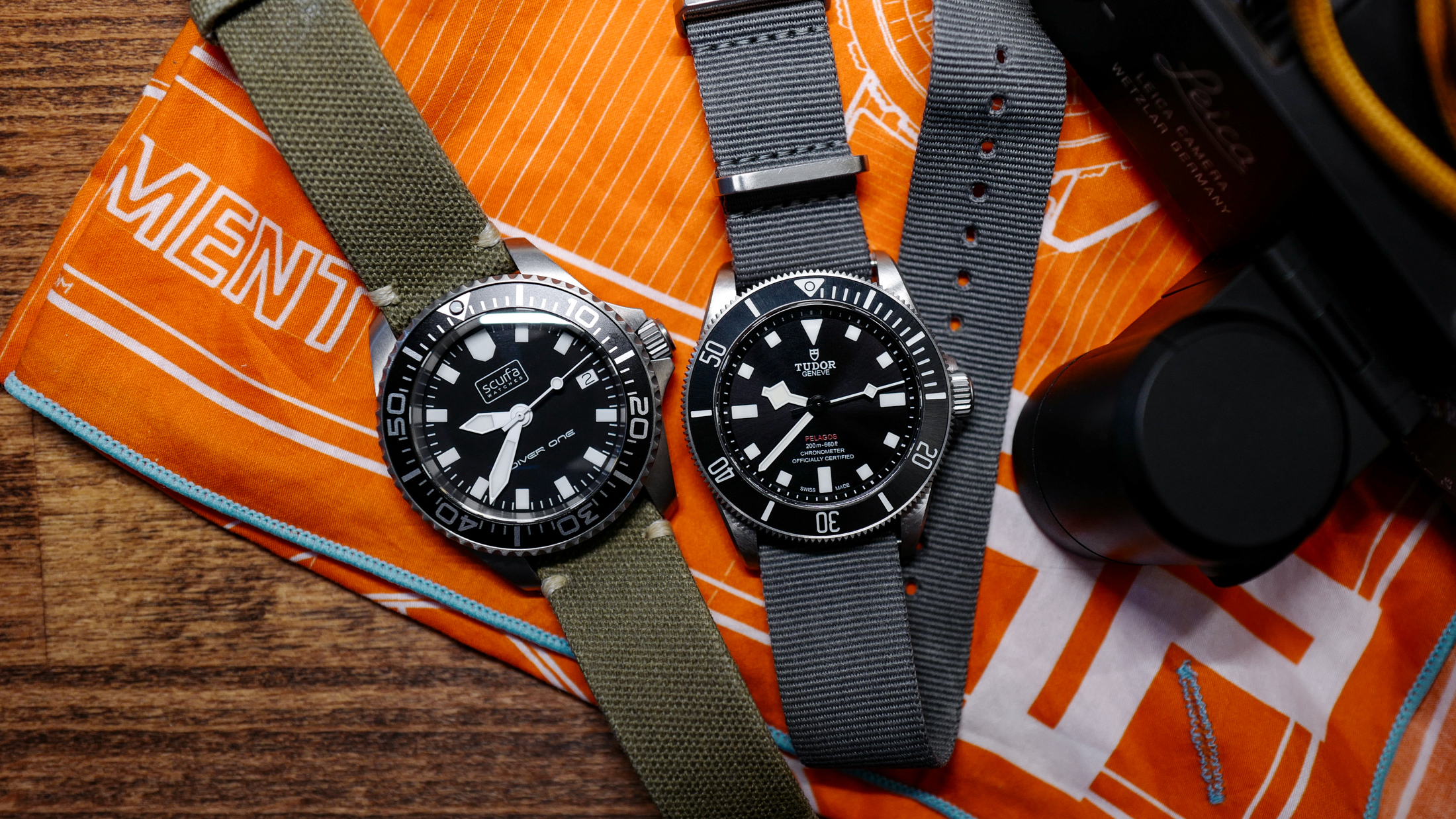 a scurfa and a tudor