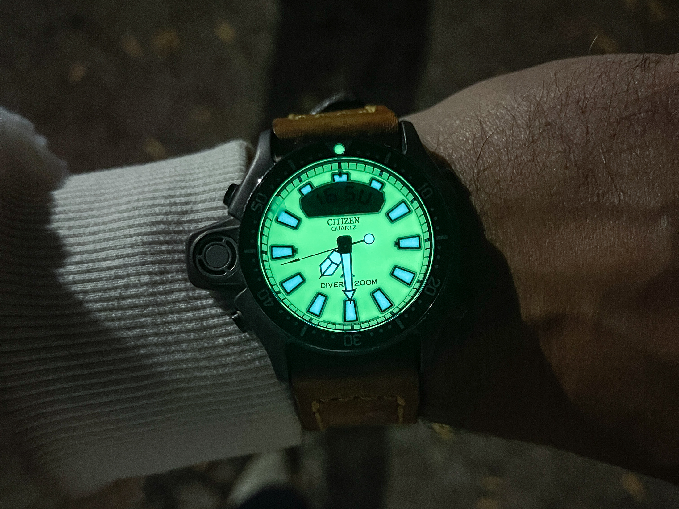 citizen aqualand on wrist