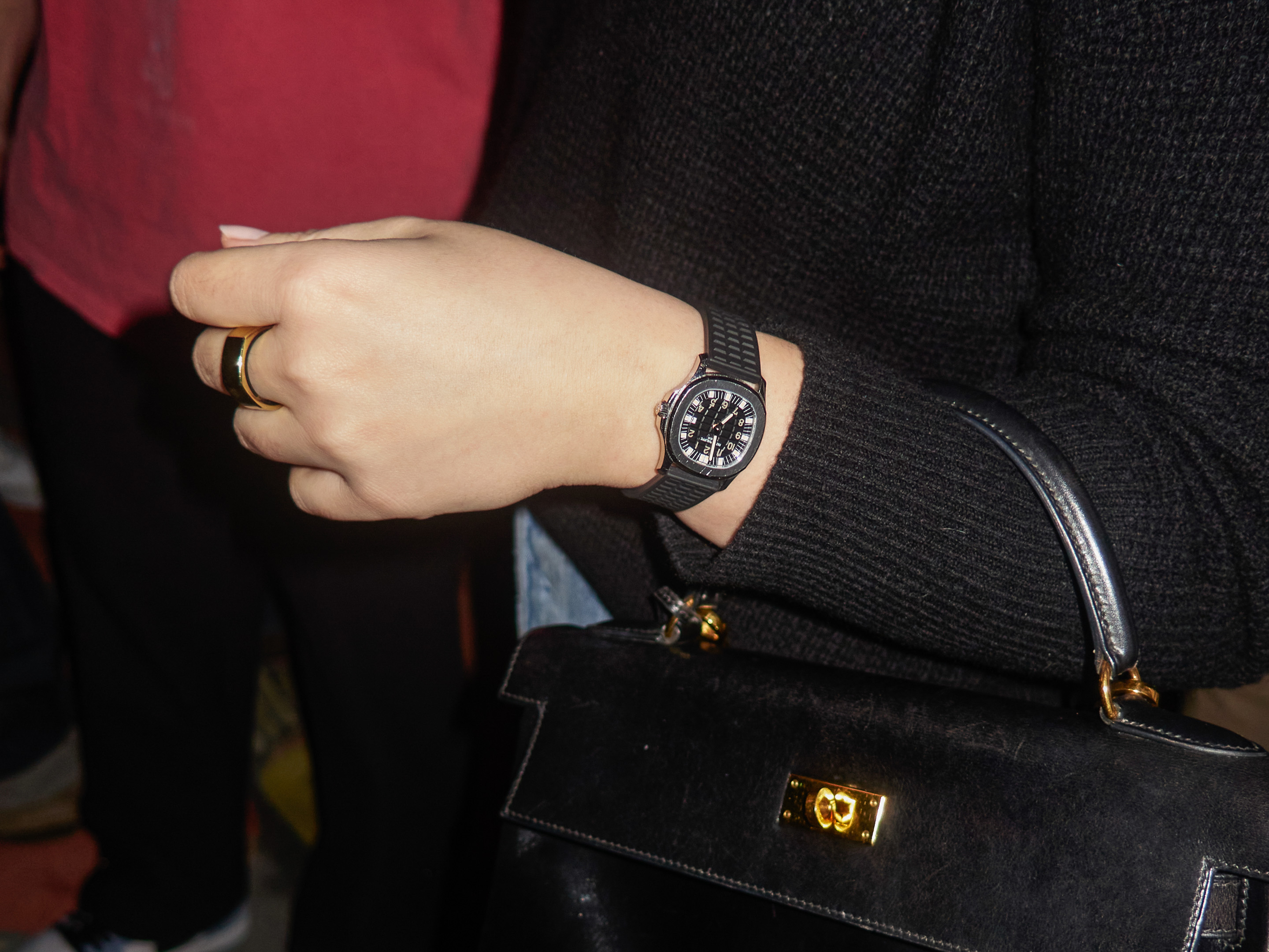 a scene from watches in the wild s3 launch event