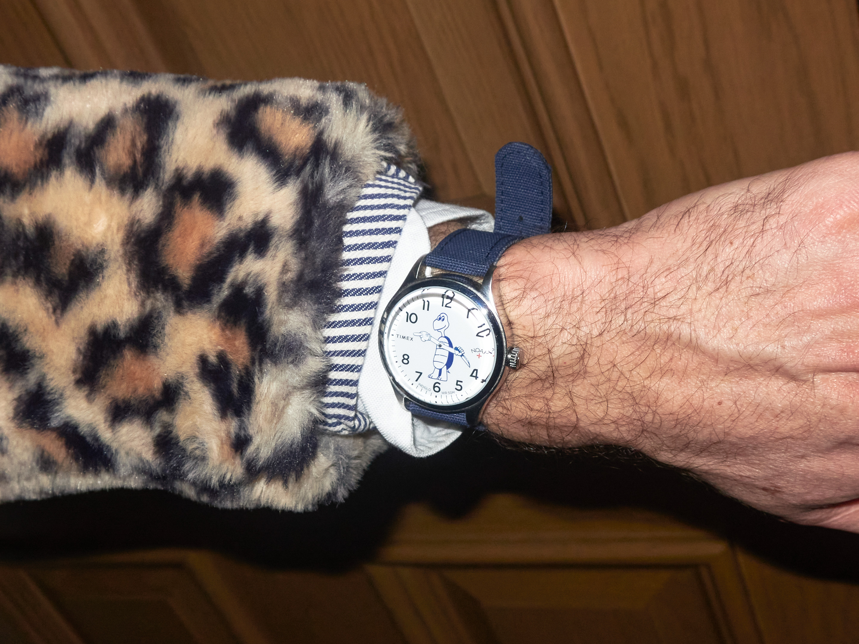 a scene from watches in the wild s3 launch event