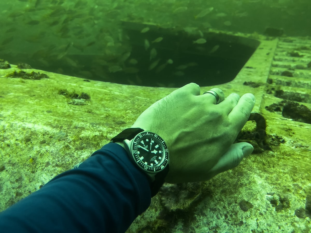 dive watch on a wrist