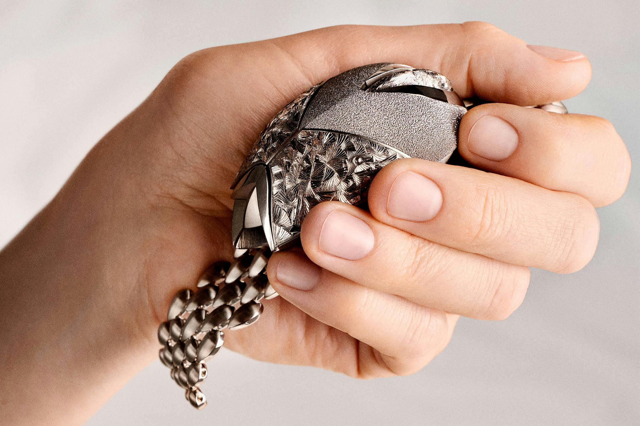 Peacock Lifestyle Closed