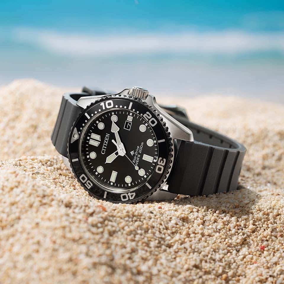 Citizen Promaster