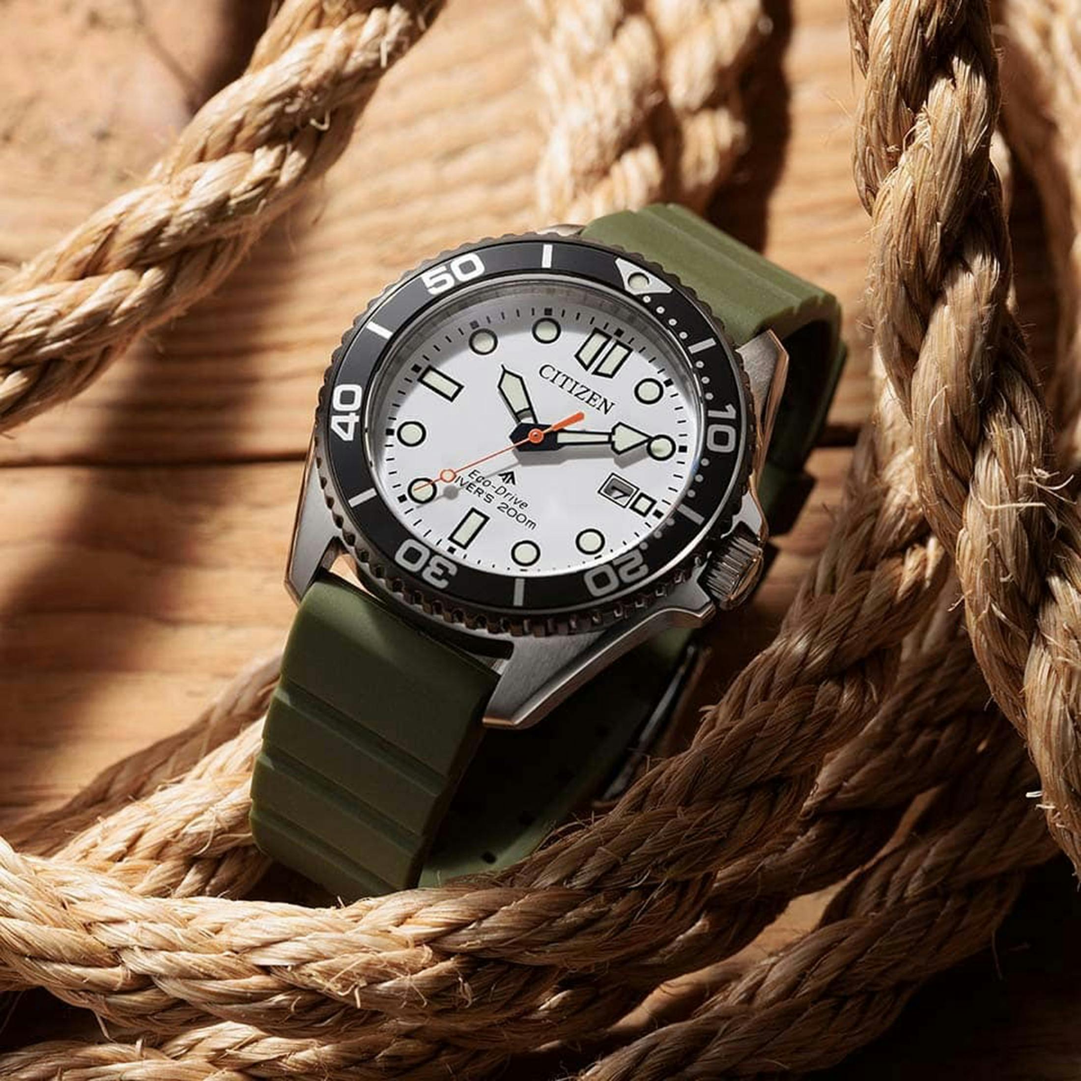 Citizen Promaster