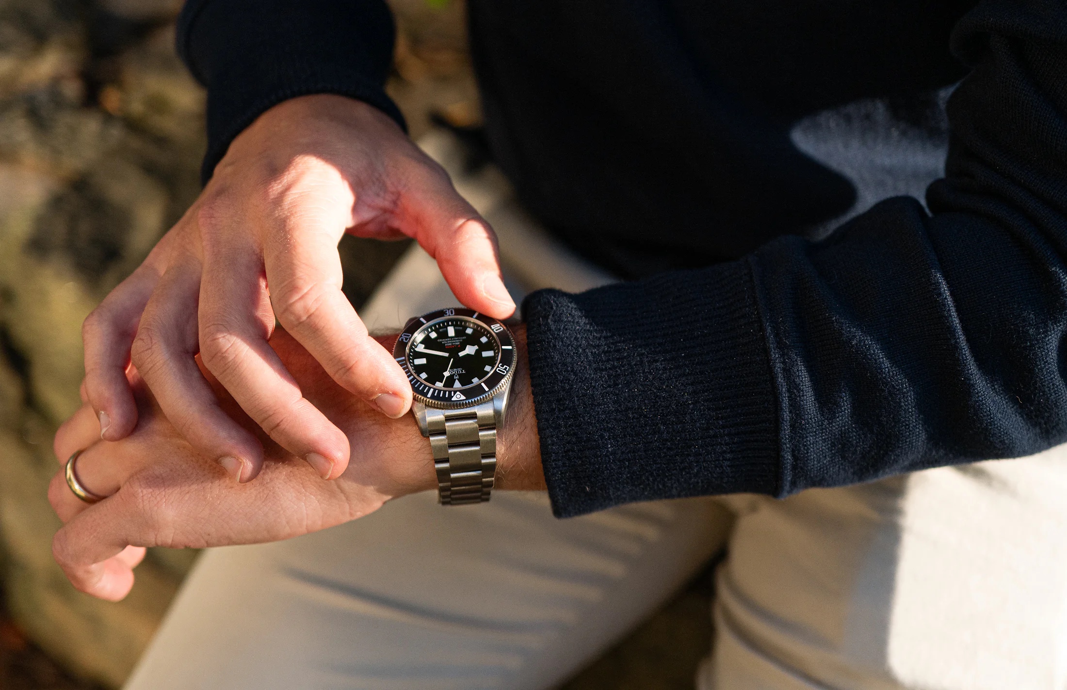 titanium tudor pelagos 39 wristshot