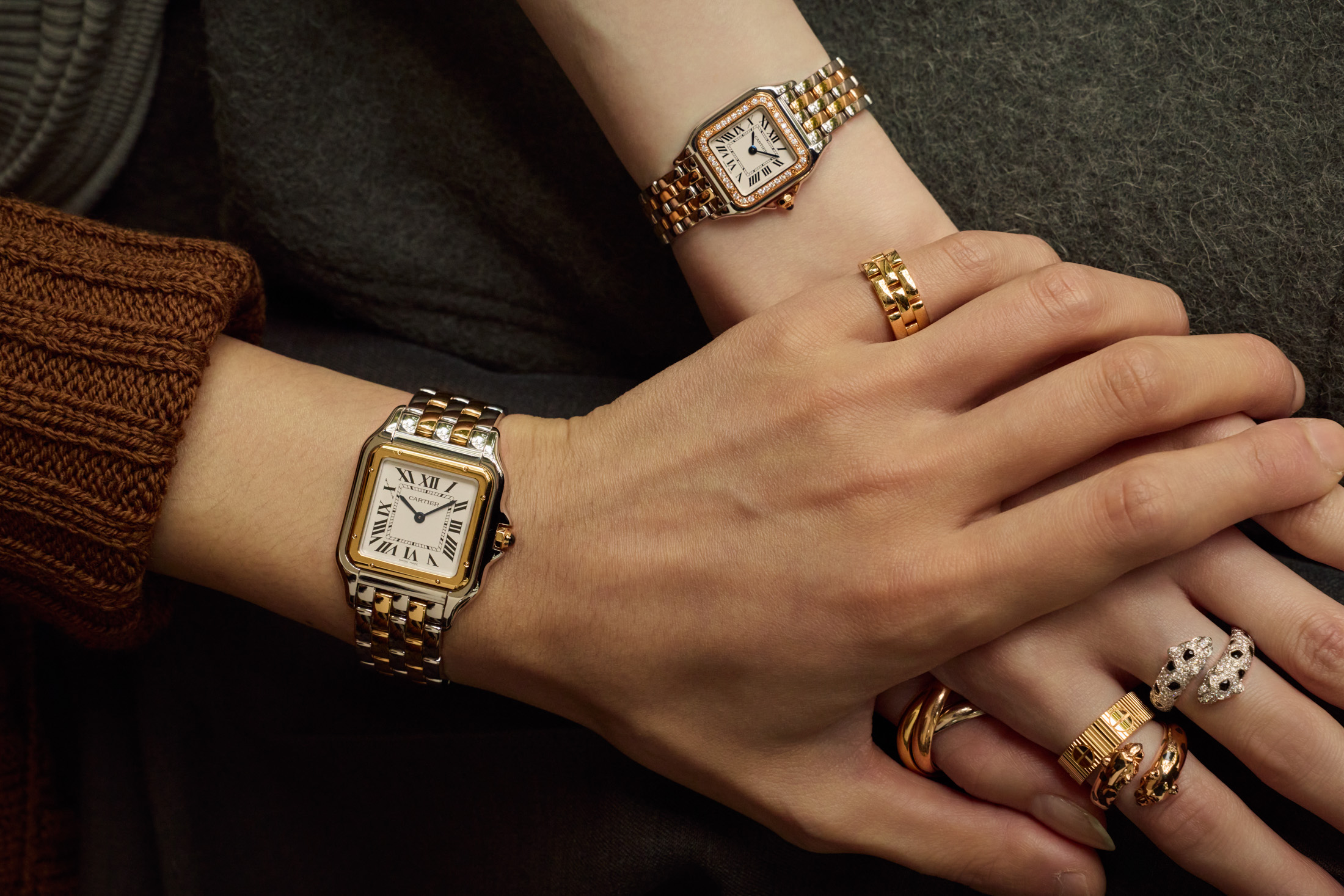 豹が刻む時：カルティエ「パンテール」の物語 - Hodinkee Japan