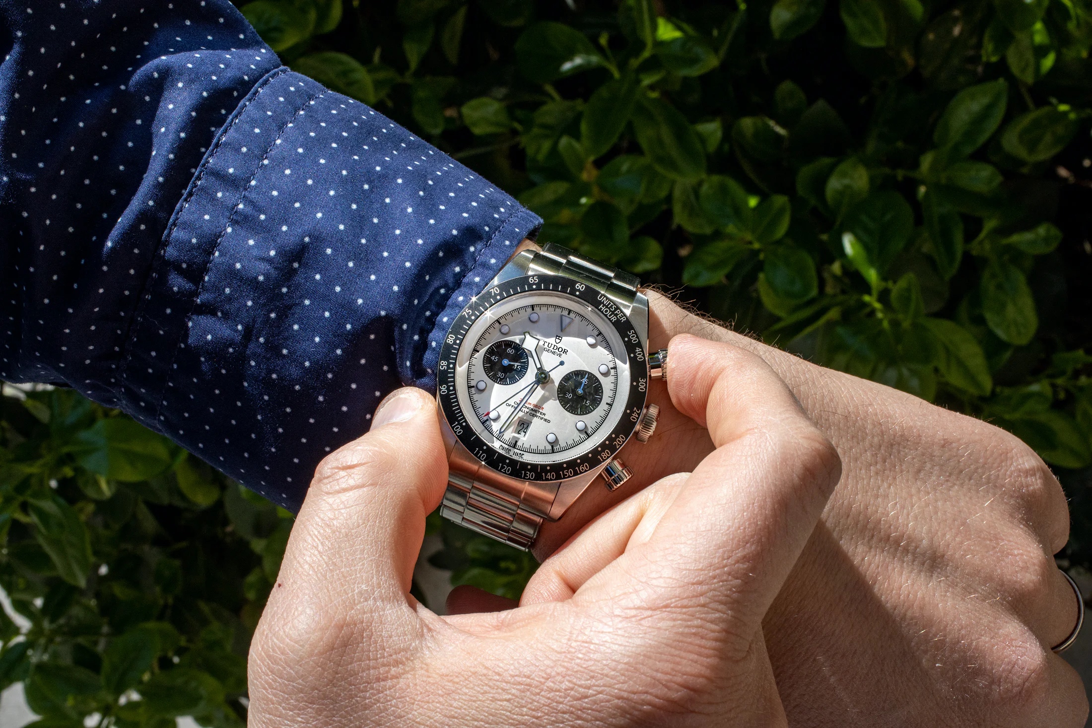 tudor black bay chrono