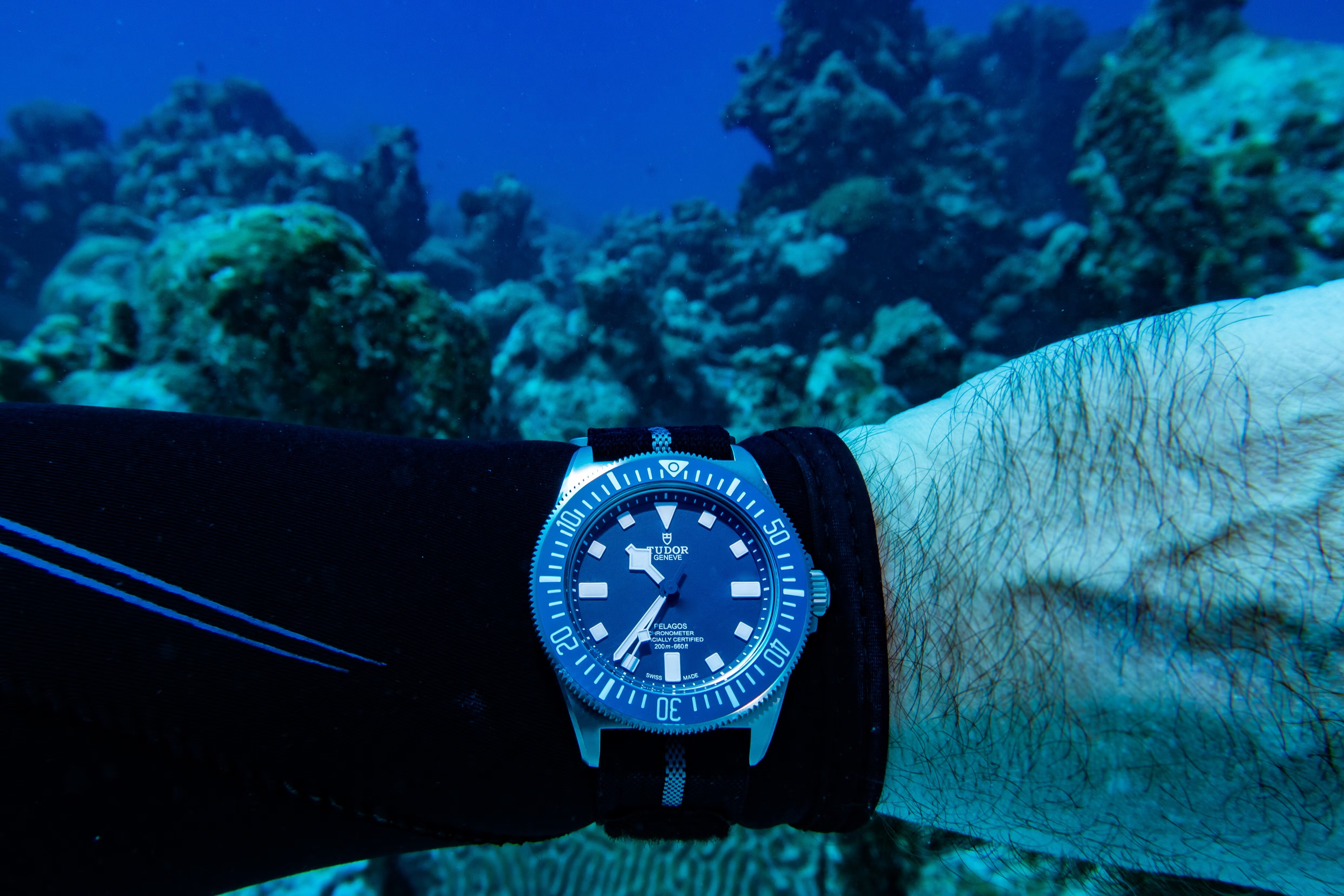 A man wears the Tudor Pelagos FXD underwater.